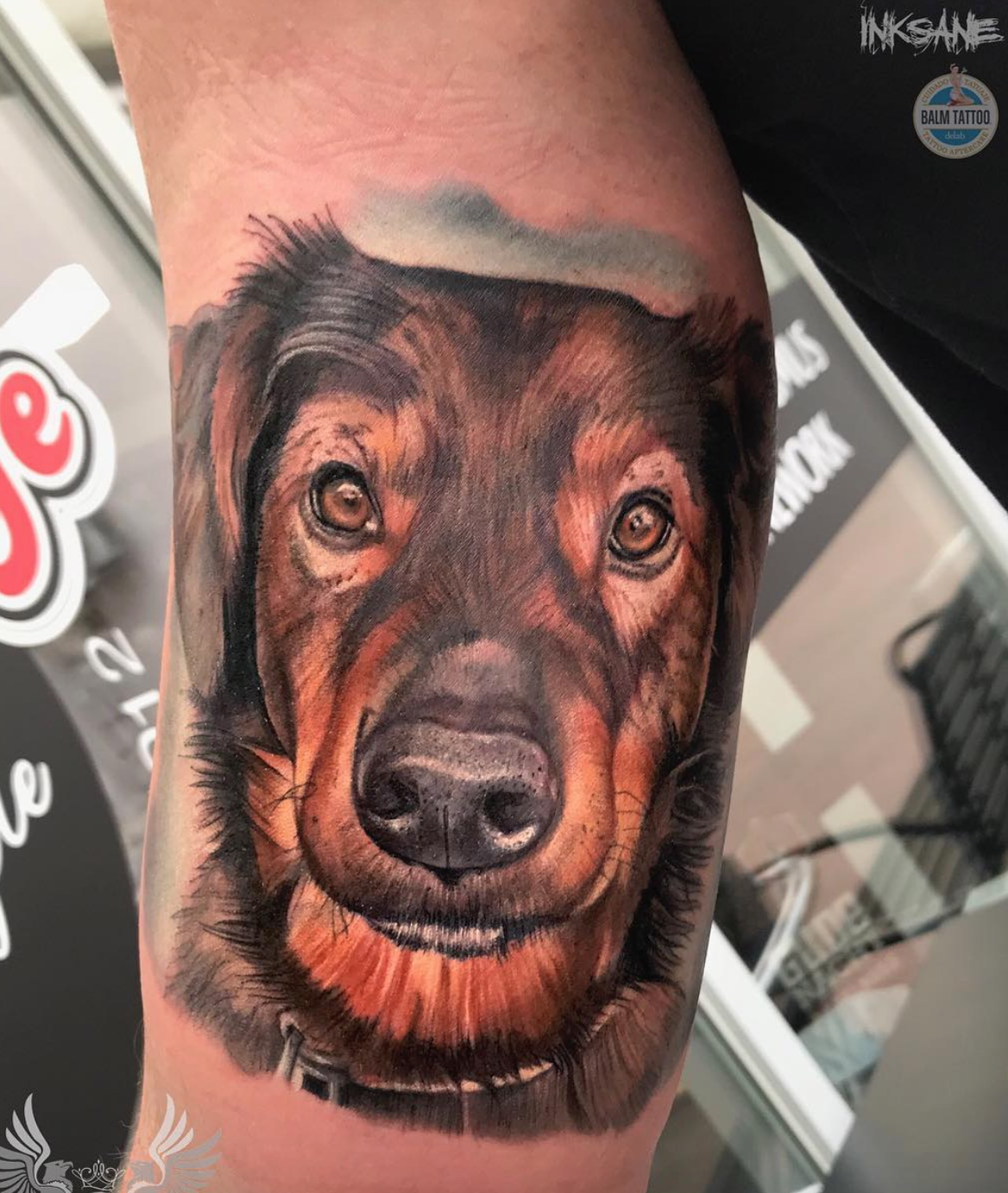 Claire Griffin dog tattoo