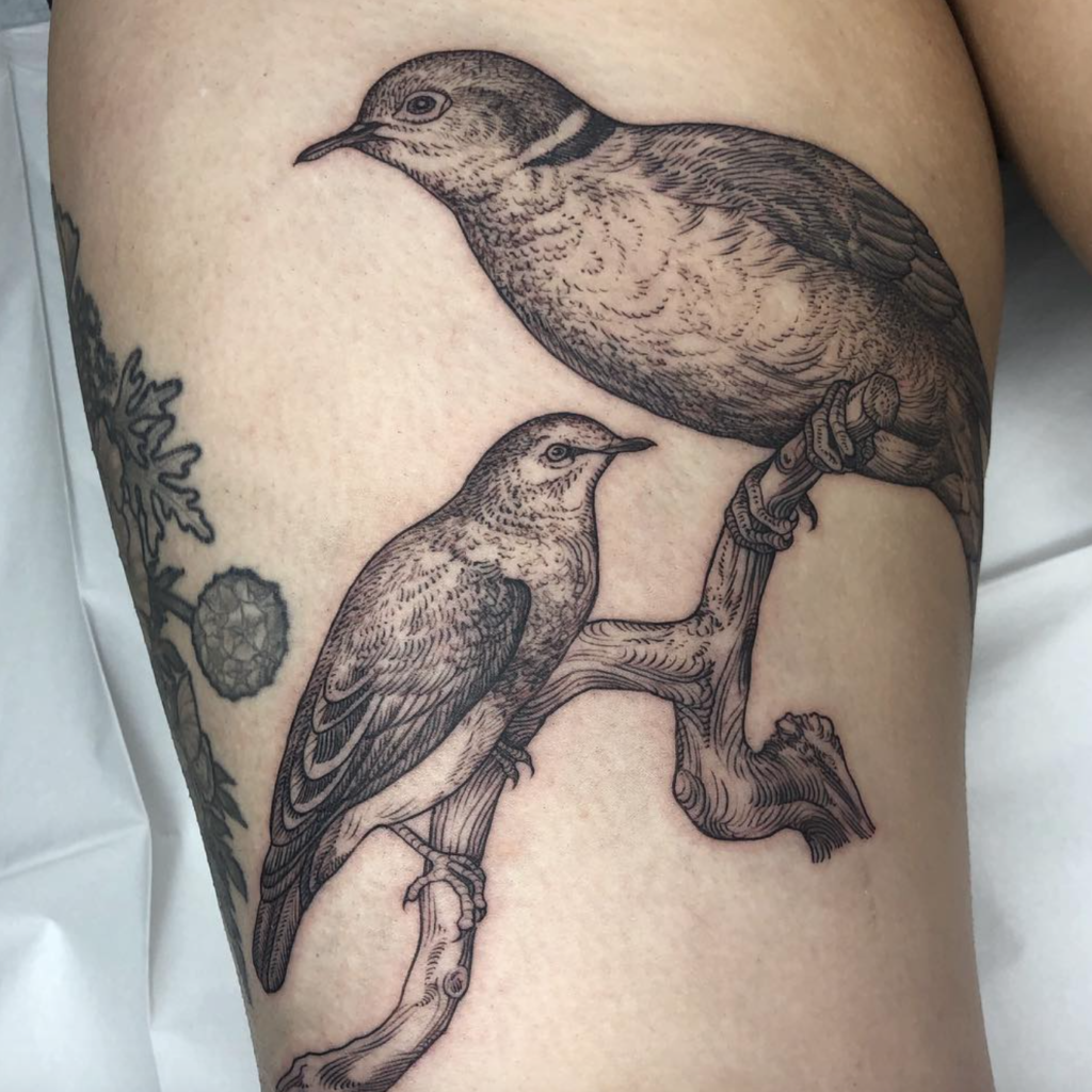 Cloey Zikmund bird tattoo