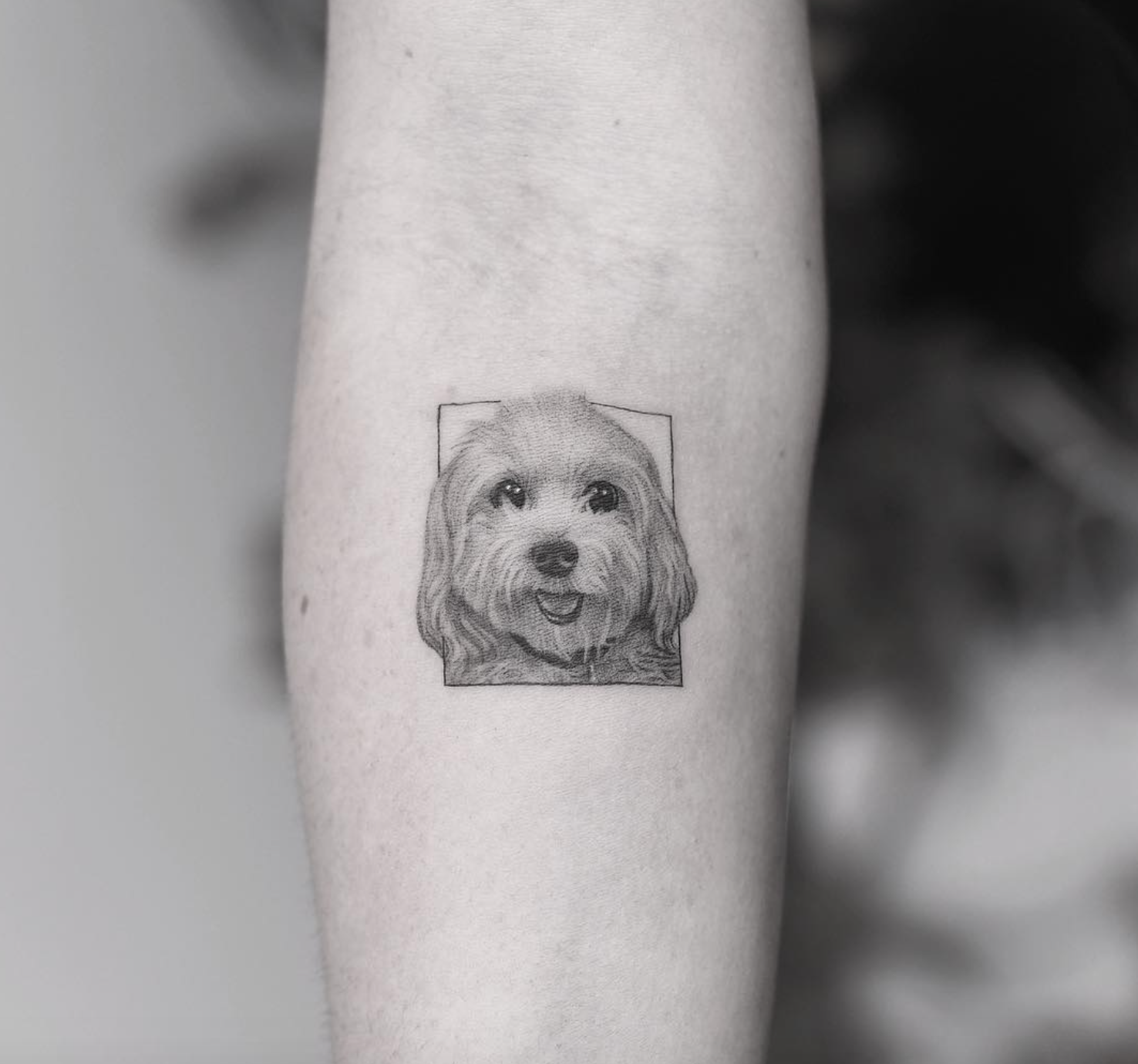 Edit Paints dog tattoo