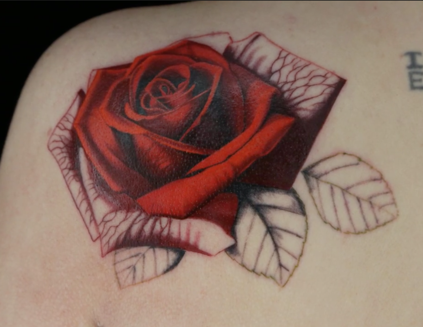Rose tattoo by Pony Wave
