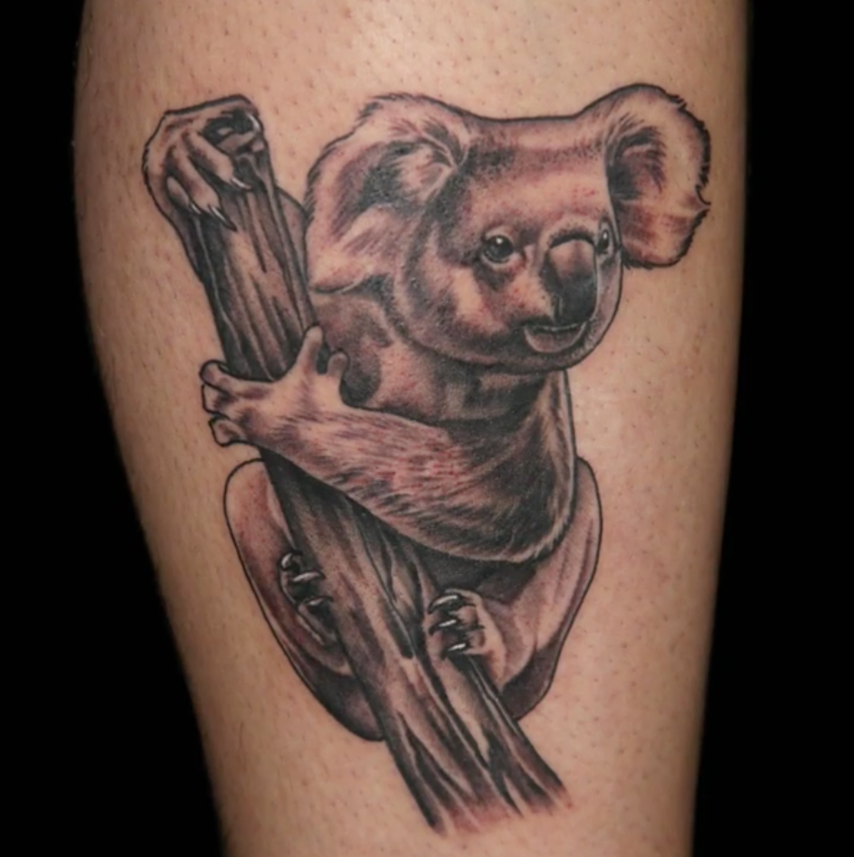 Koala tattoo by Jake Ross